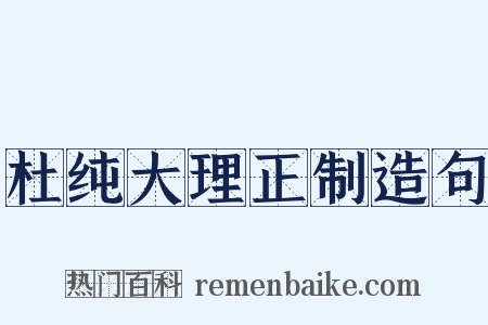 杜纯大理正制造句是什么意思的图片